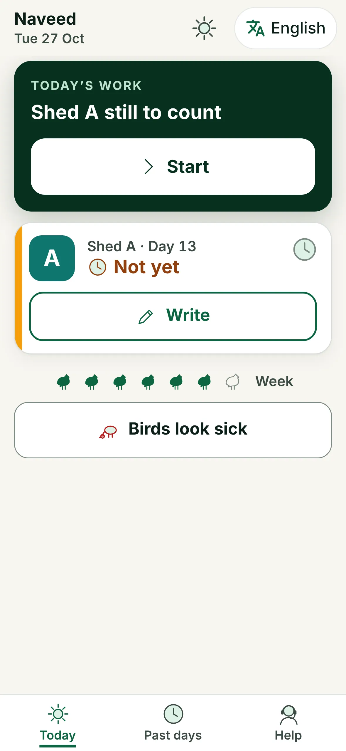 The simple supervisor screen: today's work, Shed A still to count, a big Start button and a Birds look sick button